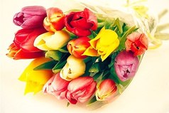 В день роста цен на цветы, женщины придумали себе праздник 8 марта.