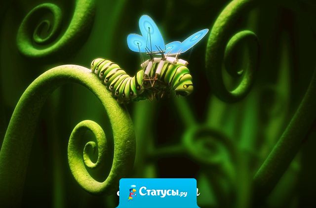 Нельзя приклеить к гусенице крылья и заставить  ее летать, как бабочку. Она должна измениться изнутри.
