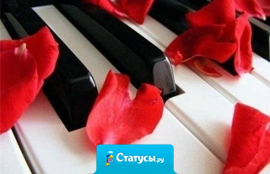 Жизнь — как фортепиано. Белые клавиши — это любовь и счастье, чёрные горе и печаль. Чтобы услышать настоящую музыку жизни, мы должны коснуться и тех, и тех