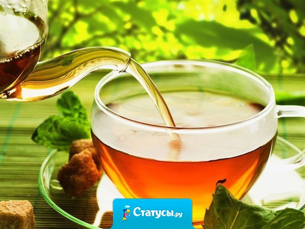 С чаем жизнь как будто налаживается. Это горячий напиток из сухих листьев, который используют в трудные минуты, чтобы вернуться в нормальное состояние.