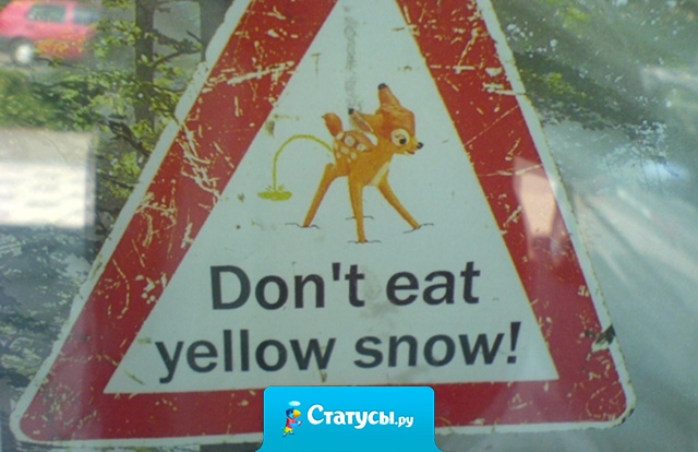 Совет на Новый год - не надо кушать желтый снег.