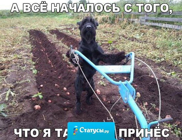 А все началось с того, что я тапочки принес