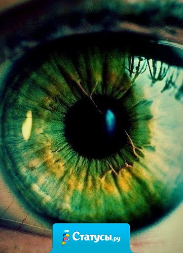 Самый редкий цвет глаз – зеленый. Всего 2% населения Земли имеют зеленые глаза. Обладатели зеленых глаз – всегда немного грубые, пошловатые, любят язвить и много улыбаются.